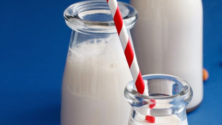 Soy-Based Meat and Dairy Alternatives