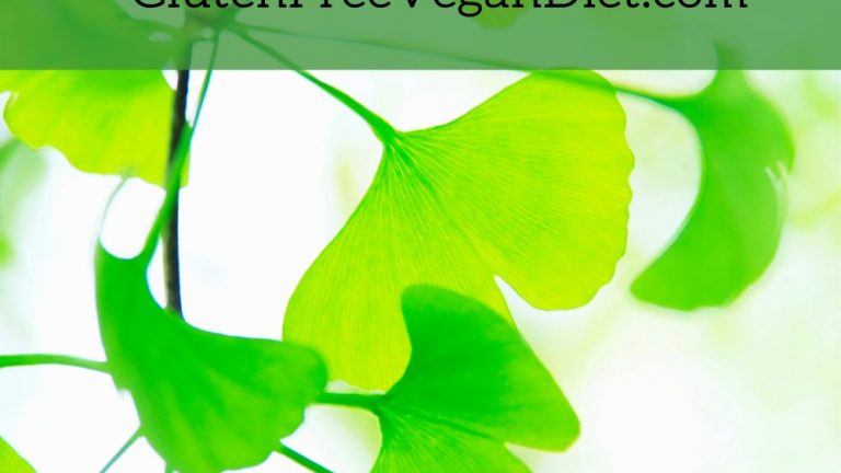 The Beginner’s Guide to The Benefits of Taking Maidenhair Tree Seed